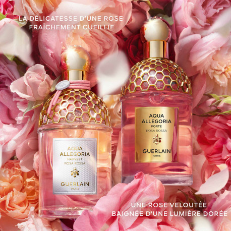 GUERLAIN 3346470147003 GUERLAIN 3346470147003